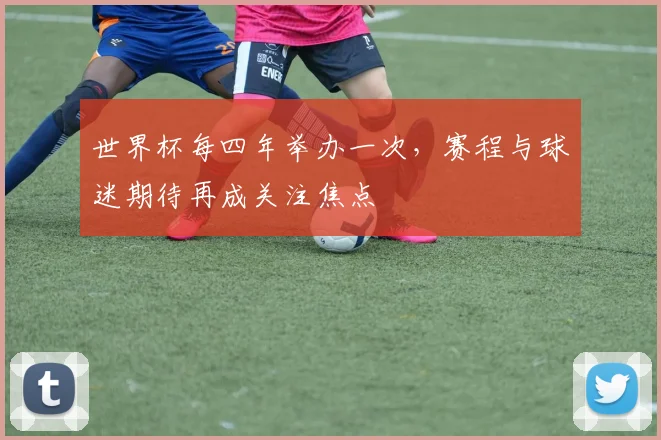 世界杯每四年举办一次，赛程与球迷期待再成关注焦点